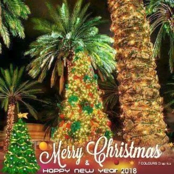 Meet your Posher, Laura - Picture 1 of 1